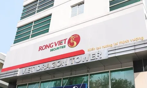 Vợ Chủ tịch Chứng khoán Rồng Việt gom thêm 2 triệu cổ phiếu VDS