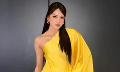 Thu nhập của Thiều Bảo Trâm