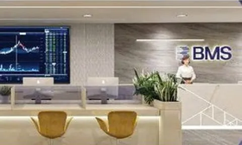 2 thành viên HĐQT Chứng khoán Bảo Minh đồng loạt từ nhiệm
