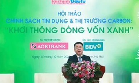 Phó Thống đốc NHNN: Thị trường carbon có thể giúp doanh nghiệp giảm phụ thuộc vào vốn ngân hàng