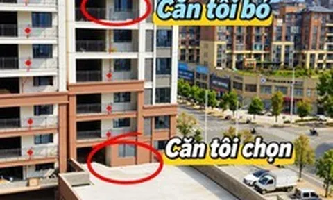 Mua căn hộ tầng thấp được tặng sân rộng, chủ nhà hào hứng làm vườn: 6 tháng sau phải tháo gần hết vì 4 rắc rối này