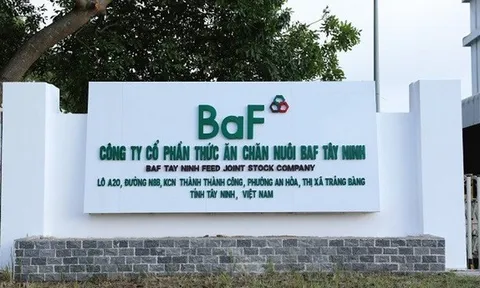 BAF huy động gần 688 tỷ đồng, phần lớn phục vụ vốn lưu động và trả công nợ