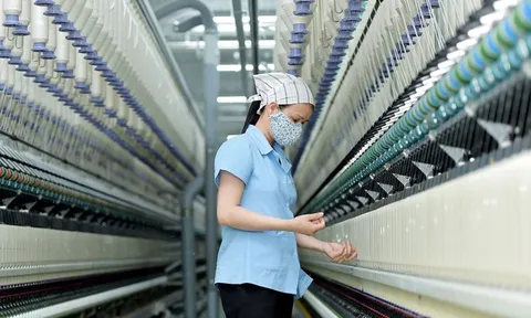 Gia hạn thêm 5 năm chống bán phá giá đối với sợi polyester nhập khẩu