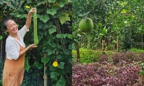 Mẹ nuôi của Phương Oanh nghỉ hưu sớm, làm nông dân ở khu vườn rộng 4.000m² ven sông Hồng