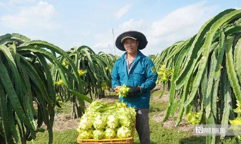 Gắn kết thương mại với du lịch biển ở Lâm Đồng, mở lối ra cho đặc sản địa phương