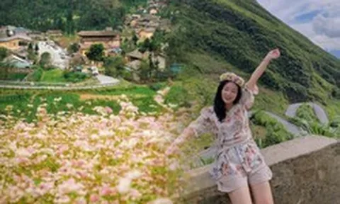 Chỉ còn 9 ngày nữa, 240ha hoa tam giác mạch đẹp nhất Việt Nam chính thức mở cửa, có nơi người dân được ngắm miễn phí
