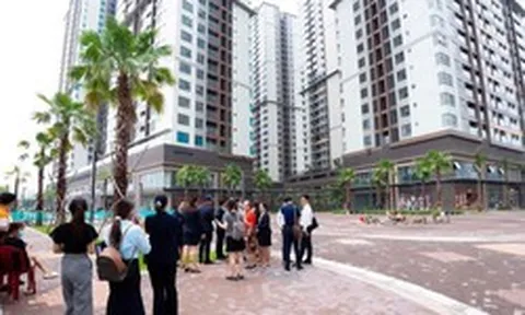 VARS: Thị trường bất động sản không đóng băng, khách liên hệ tư vấn, xem nhà vẫn ở mức cao