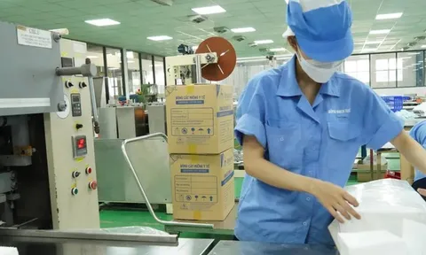 SGI Holdings thành công gom thêm hơn 1,2 triệu cổ phiếu Bông Bạch Tuyết