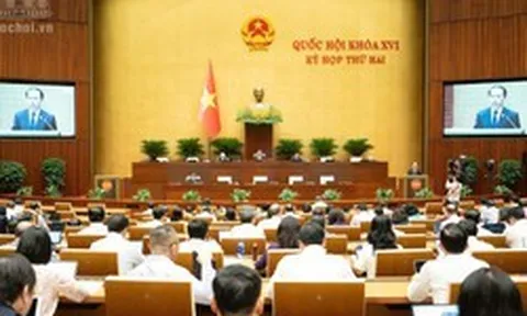 Quốc hội nghe báo cáo 3 dự án luật về đấu giá tài sản, nuôi con nuôi và luật sư