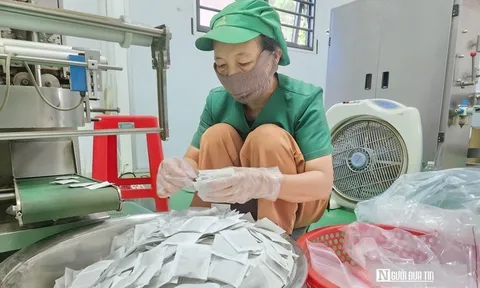 Đánh thức vùng gò đồi, cho doanh thu 10 tỷ mỗi năm nhờ trồng cây dược liệu
