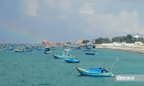 Lâm Đồng siết quản lý tàu cá, ngăn khai thác hải sản trái phép
