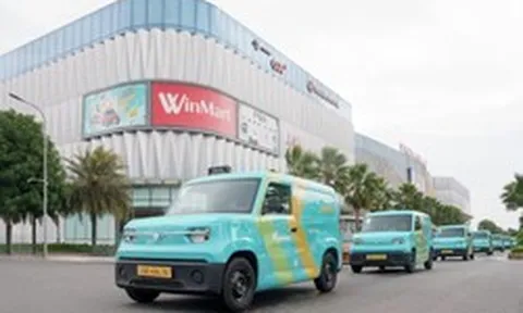 Công ty GSM VN Holding của tỷ phú Phạm Nhật Vượng tăng vốn lên gần 54.000 tỷ đồng, doanh nghiệp Hong Kong nắm 80% số cổ phần phổ thông