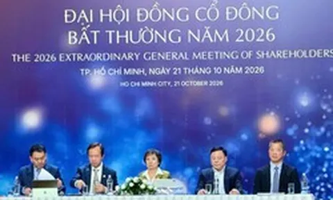 ĐHCĐ bất thường: PNJ báo lỗ 258 tỷ đồng quý III, cần huy động 8.000 tỷ đồng để phục hồi, dự kiến có lãi từ 2027