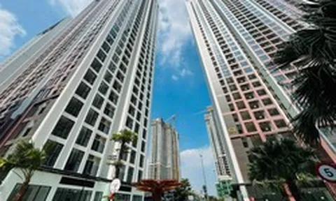 Có 3 tỷ đồng, người trẻ nên mua chung cư hay tiếp tục đi thuê nhà?