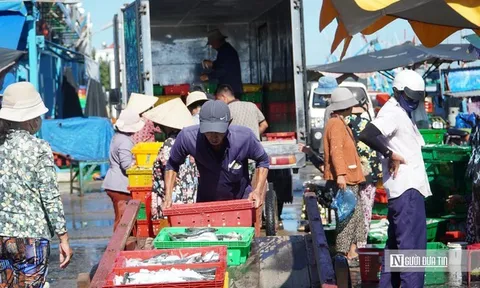 Nghề lưới vây ở Lâm Đồng: Trúng đàn cá, cả tàu phấn khởi