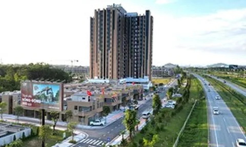 Doanh thu tăng trưởng tích cực, TNG tăng tốc rót vốn vào mảng bất động sản