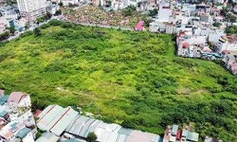 Đất ngân hàng đang xử lý nợ có đánh thuế như đất bỏ hoang?