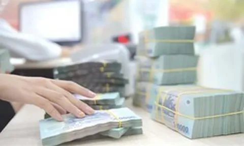 Chính phủ nêu lý do đề xuất phạt vi phạm hành chính đến 3 tỷ đồng