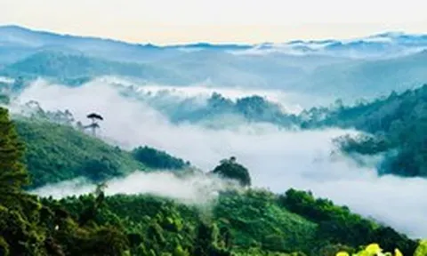 Lần đầu tiên, Việt Nam sẽ có sân bay nằm ở độ cao hơn 1.200m, mát lạnh quanh năm: Rộng gấp 20 lần sân Mỹ Đình, tổng vốn gần 5.000 tỷ đồng