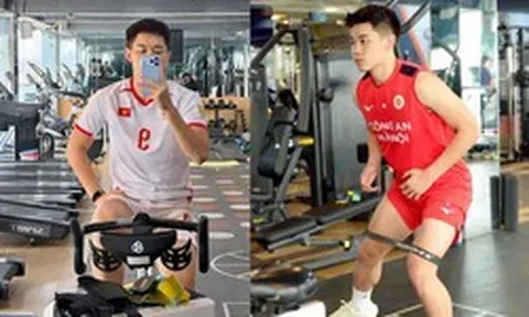 Động thái của Đình Bắc