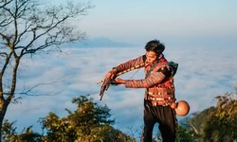 Phát hiện vùng núi cao 1.200m ở Việt Nam, có 1.400 cây cổ thụ, nhiều thân to như cột đình phủ kín rêu già