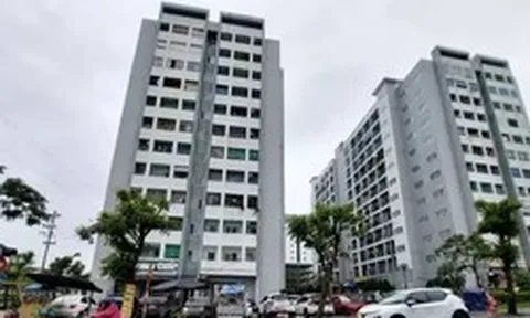 Đề xuất hỗ trợ mua nhà ở đến 800 triệu đồng để thu hút nhân tài