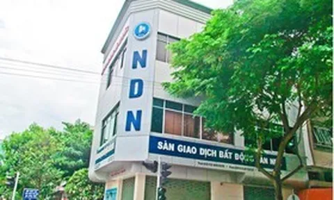 Nhà Đà Nẵng lao đao vì chứng khoán, danh mục đầu tư hơn 660 tỷ đồng gây sức ép
