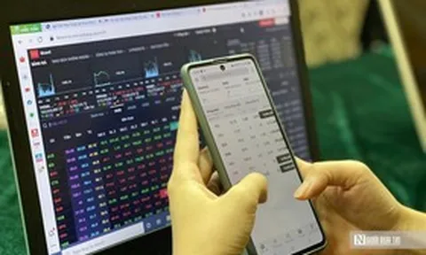 Thao túng cổ phiếu Kido: 3 cá nhân bị phạt 4,5 tỷ đồng, 17 người bị đình chỉ giao dịch