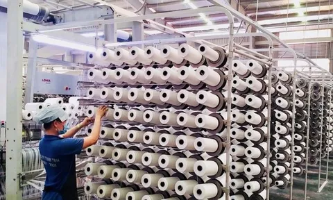Nhựa Tân Đại Hưng bị phạt vì "vênh" số liệu lợi nhuận hơn 4 tỷ đồng