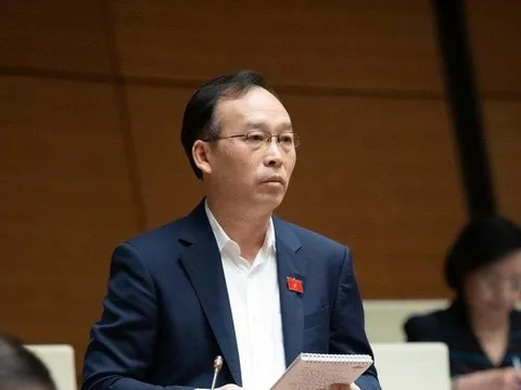 Cần xây dựng ứng dụng để người dân phản ánh tình trạng cây xanh ven đường