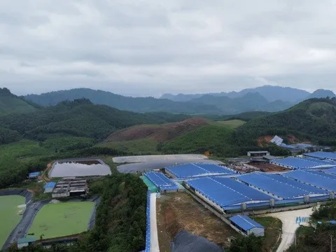 Thanh Hóa: Người dân mất ăn mất ngủ vì trại lợn hôi thối nồng nặc