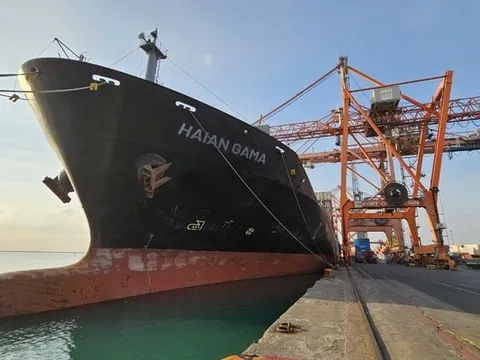 Lợi nhuận của Vận tải và Xếp dỡ Hải An tăng đột biến