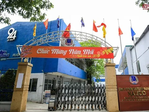 Halico trở lại thua lỗ sau nửa năm có lãi hiếm hoi