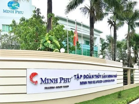 Minh Phú thoát lỗ ngoạn mục nhờ tiết giảm chi phí