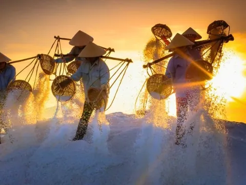 Từng chu du 50 quốc gia, du khách Nga vẫn phải thốt lên: Suýt chút nữa bỏ lỡ một khu nghỉ dưỡng tuyệt vời ở Việt Nam