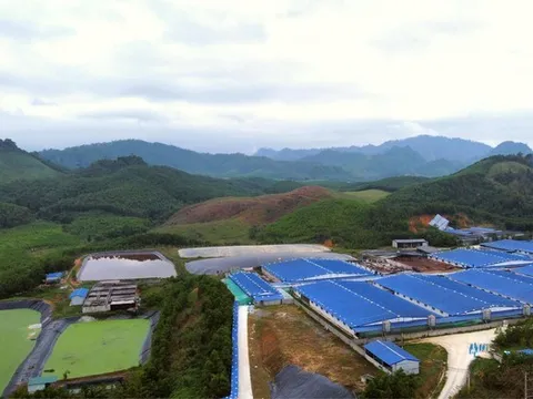 Dừng hoạt động trại lợn gây ô nhiễm ở Thanh Hoá từ năm 2026