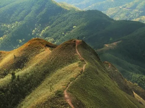 Ngoài biển, Quảng Ninh còn có 1 vùng núi nhiều người chưa biết: Đang vào mùa đẹp nhất, cảnh như phim