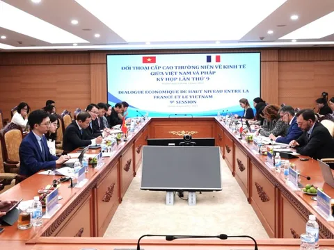 Đối thoại cấp cao thường niên về kinh tế Việt Nam - Cộng hoà Pháp