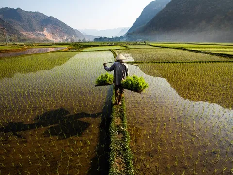 Nói "Việt Nam nuôi cả thế giới" không phải là cường điệu