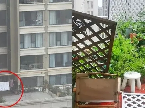 Mua nhà có sân thượng, tôi tưởng sẽ sống như quý cô - ai ngờ chỉ toàn dọn dẹp, tưới cây và lau bụi