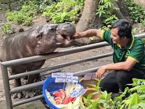 Không ngờ tới những "nhân viên tiêu biểu" đã giúp Thảo Cầm Viên đạt doanh thu trăm tỷ