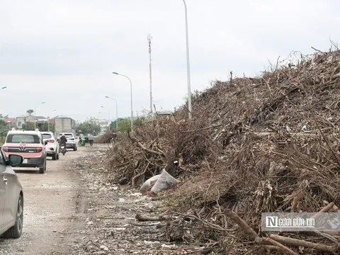 Rác thải chất đống cao ngút hai bên đường ở trung tâm đô thị Nghệ An