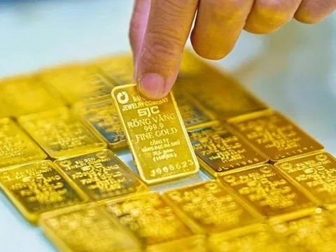 Giá vàng hôm nay 14/11: Vàng SJC tăng giá, vàng thế giới điều chỉnh nhẹ