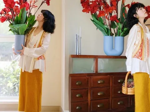 Hoa dong riềng bỗng hot: Loài hoa tưởng bị "ra rìa" nay gây sốt vì đẹp sang bất ngờ, nở rực ba mùa trong năm, trồng phát lên luôn