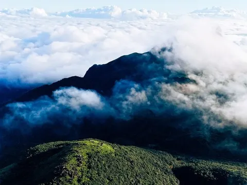 Mãn nhãn với biển mây, rừng rêu ma mị trên "nóc nhà" Quảng Trị