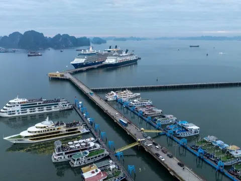 Khung cảnh ở Hạ Long ngay lúc này khiến nhiều người tò mò, nhận xét: "Ở đây đang thực sự có gì?"