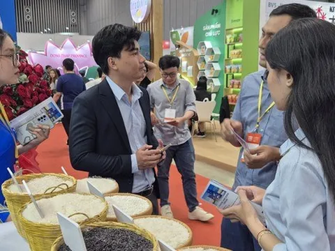 Gạo xuất khẩu Việt Nam trước thách thức mới