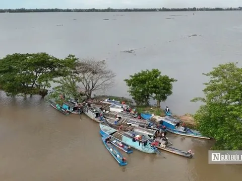 Lênh đênh cùng "lộc trời" mùa nước nổi
