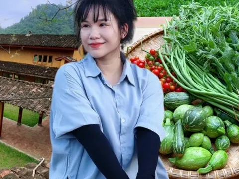 Cặp vợ chồng chi 3 tỷ xây nhà như cổ tích trên vùng núi Tuyên Quang: View triệu đô, 0 đồng rau củ