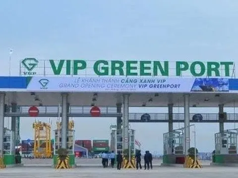 Viconship sắp thu gần 90 tỷ đồng cổ tức từ Cảng Xanh Vip